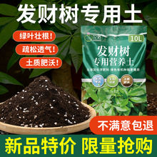 发财树营养土专用土盆栽绿植花土发财树肥料专用肥土家用种植土霜