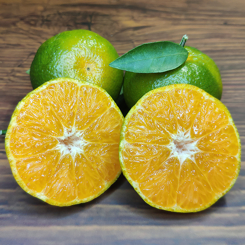 广西清香蜜桔纯甜清香茶橘新鲜水果5斤青桔砂糖柑沃橘子柑10