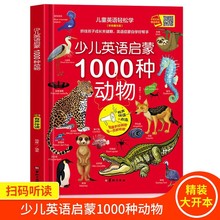 少儿英语启蒙1000种动物英语绘本分级阅读自然拼读教材有声书