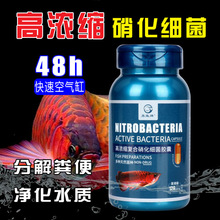 硝化细菌鱼缸用品水族箱干粉净水剂稳定剂活菌消化细菌硝化菌胶囊