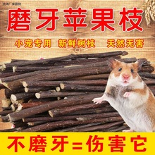 枝磨牙棒小宠磨牙咬木仓鼠荷兰猪龙猫豚鼠兔子磨牙用品甜竹厂家