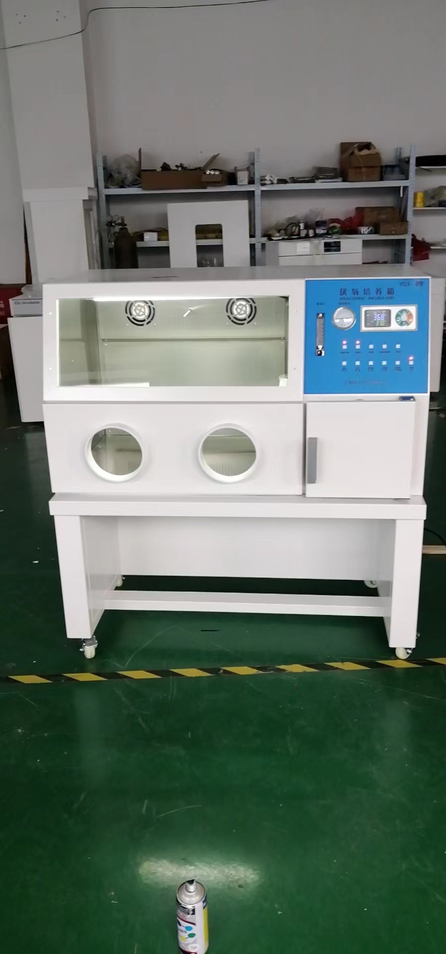 厌氧培养箱厌氧箱