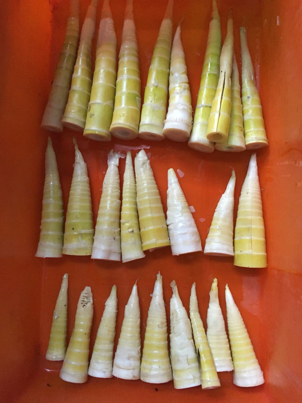 【厂家支持小额混批】慈溪鲜冻方便净菜速冻雷笋