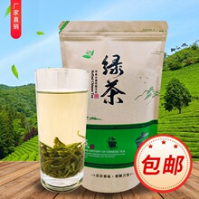 高山绿茶口粮茶 黄山产地批发日照散装500g茶叶 绿茶茶叶批发