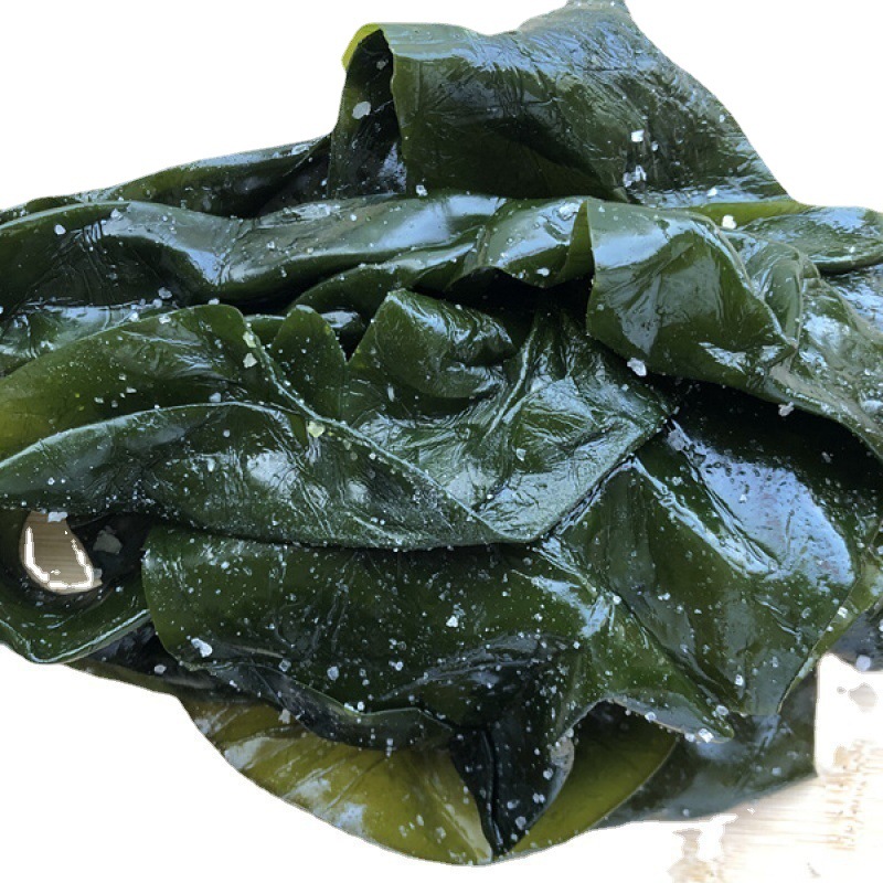 盐渍海带边新鲜海带片厚海带块5斤非干货整箱大连特产小海带2500g