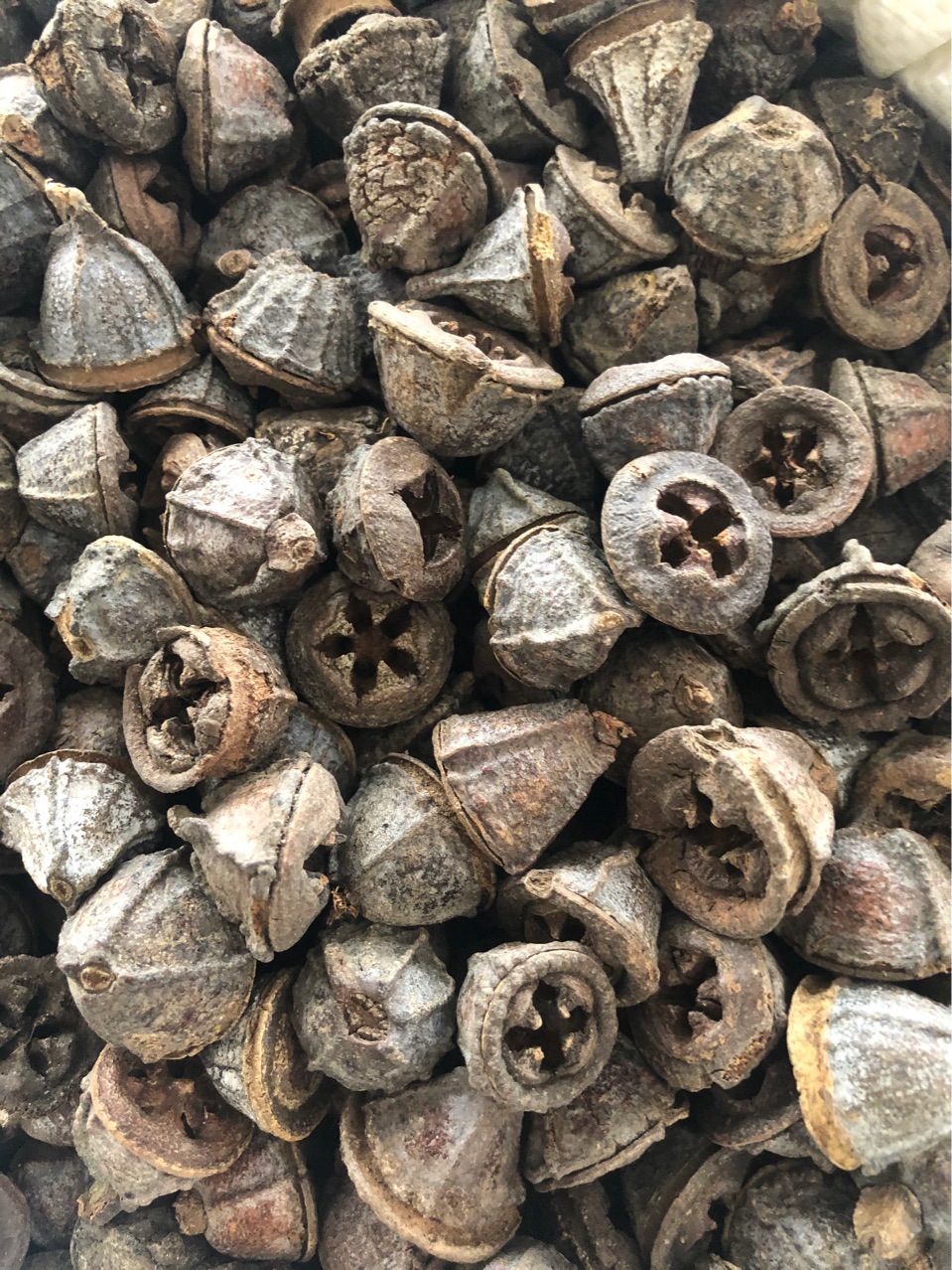 批发中药材 一口钟 红嗽叭花 扣子七 胜利果 代嚰粉-阿里巴巴