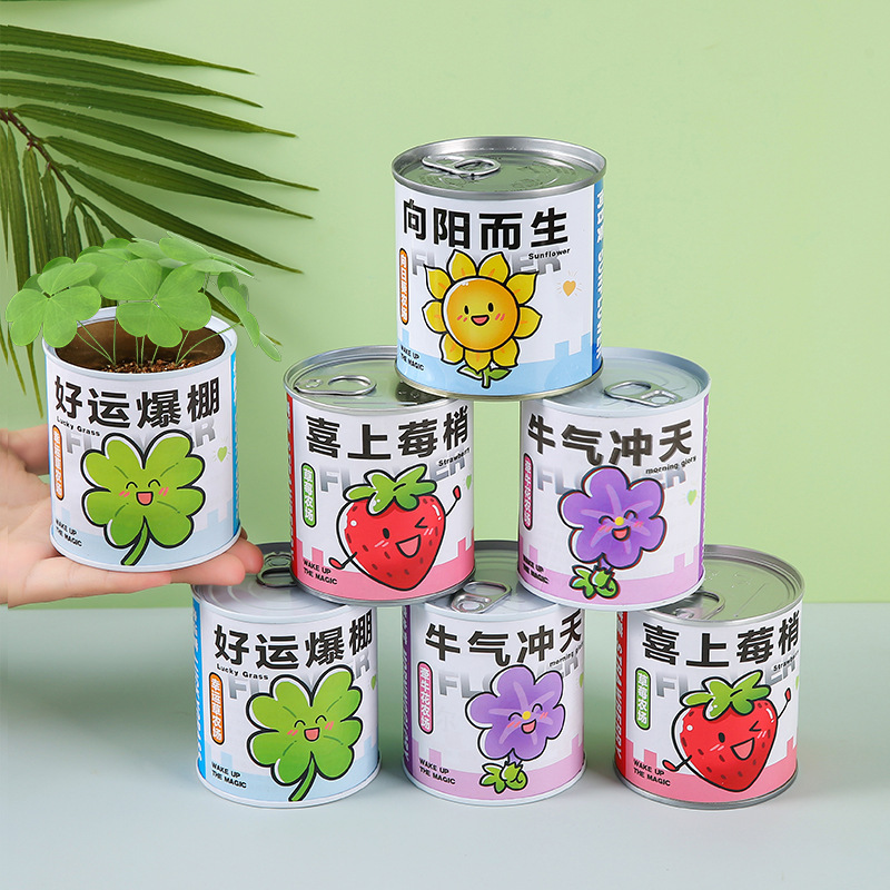 儿童种植易拉罐盆栽绿植盲盒幼儿园小学生植物生长观察发芽种子