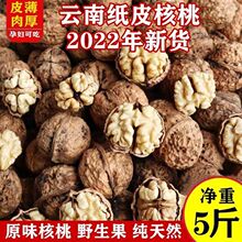 云南漾濞核桃2022新货薄壳薄皮纸皮野生老树麻子果原味新鲜干核桃