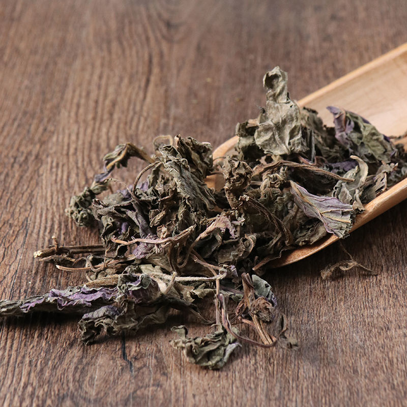 紫苏叶紫苏紫苏干去腥烧鱼虾蟹香料紫苏叶紫苏梗包邮