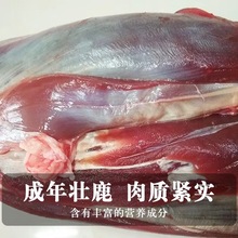 吉林双阳鹿腱子肉