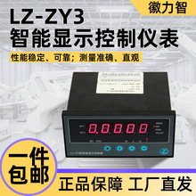 徽力智LZ-ZY3智能显示控制器5位数显LED控制仪表各类传感器适用