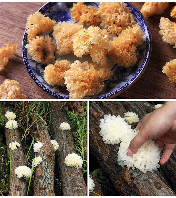 云耳(yuner) 云南椴木银耳100g/袋 南北干货白木耳雪耳美食