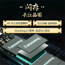 梵想 SSD固态硬盘M.2接口PCIe 4.0x4长江存储晶圆国产TLC颗粒S790