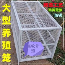 养殖鸡笼鸽笼猫笼兔笼狗笼防黄鼠狼防耗子老鼠烤漆不生锈大型笼子