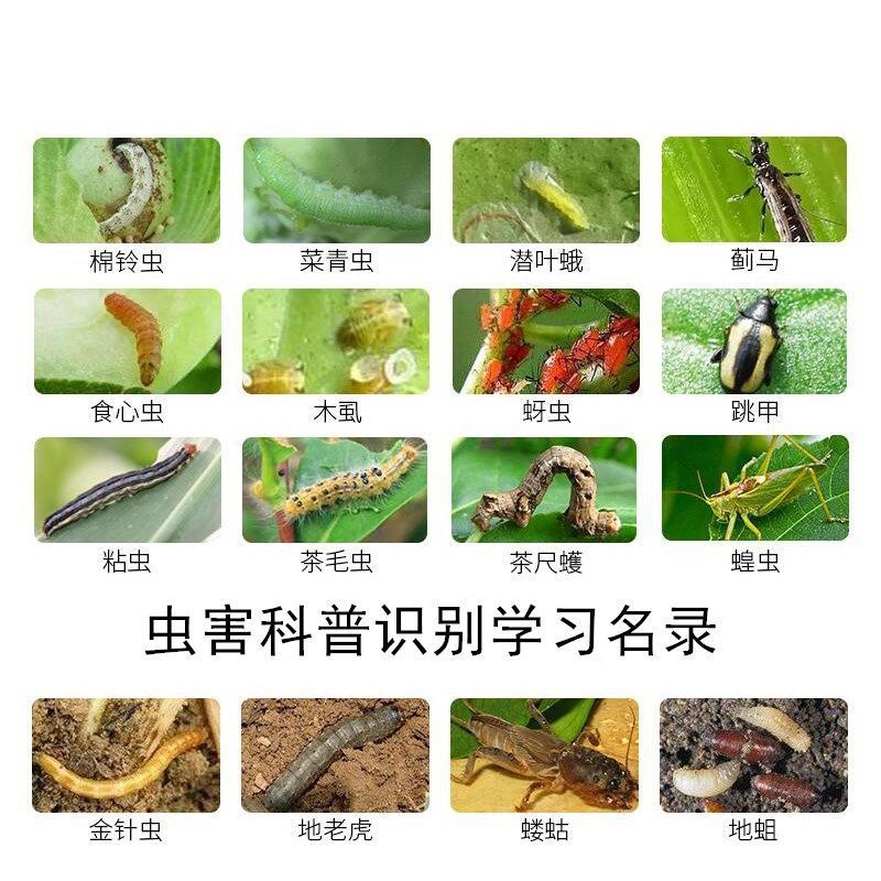 土壤杀虫地下害虫蝼蛄蛴螬地老虎菜青虫高效氯氟氰菊酯杀虫剂农药
