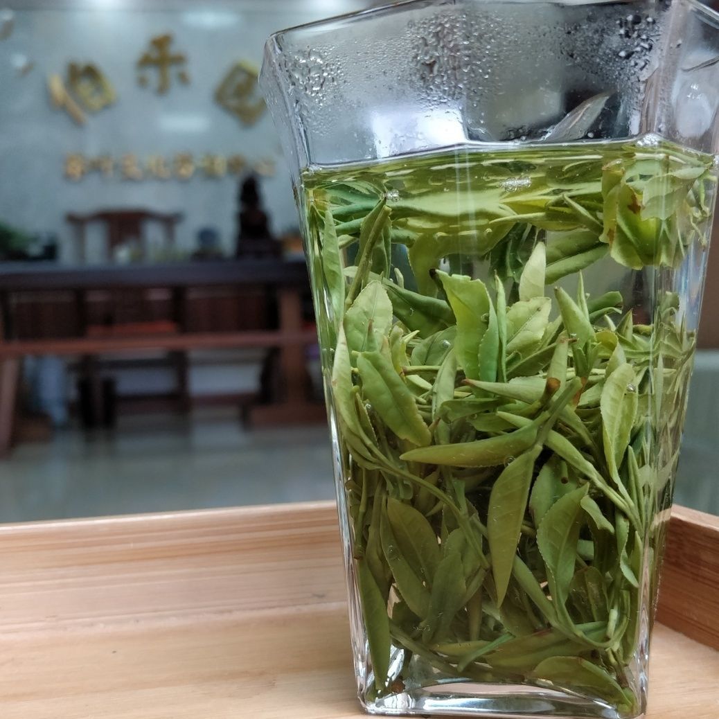湖北大悟绿茶