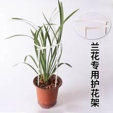 细叶植物国兰花护花架叶子保护资材工具兰花专用架