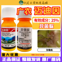 广农迈迪因 25%异菌脲 杀菌剂 悬浮剂 番茄灰霉病