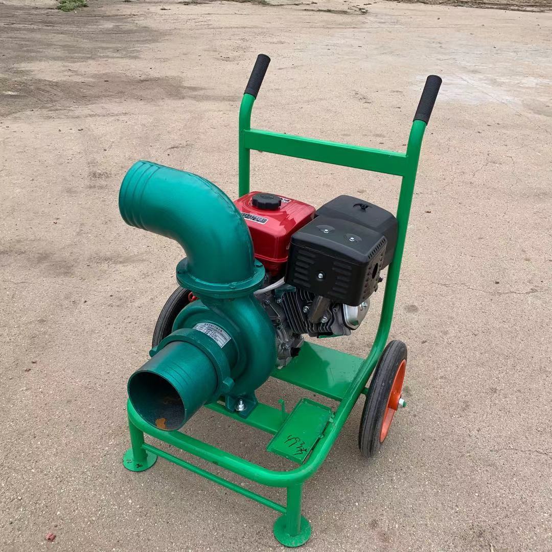 园林灌溉抽水泵 抽泥水机 工业泥浆泵 排污用的抽水泵