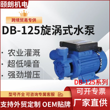 外贸专供DB-125旋涡离心泵高扬程220v/110v DB-125 water pump