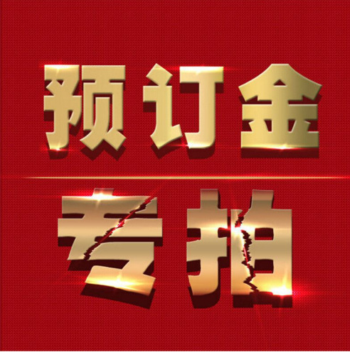 定金专拍 预付定金使用 预付定金概不支退款