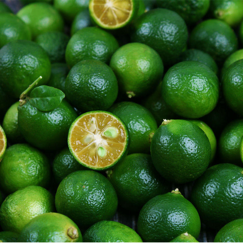 小青柠新鲜现摘现发海南青金桔桔柠檬酸桔青皮桔子批发速卖通厂家