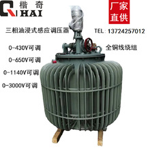 油浸式调压器柱式调压器感应式调压器三相调压器TSJA-160KVA
