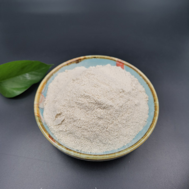 现货印度圆苞车前子壳 圆苞车前子壳粉 膳食纤维洋车前子壳粉