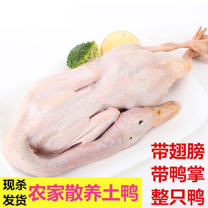 4斤左右买一送一鸭子鲜鸭农家散子土鸭整鸭灰鸭2.2-2.4一只-阿里巴巴