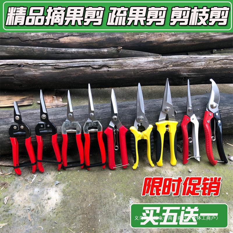 葡萄修枝剪 园艺采果芽剪刀柑橘子修花摘果稀果 剪水果蔬果批发