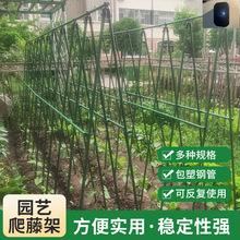 黄瓜爬藤架豆角蔬菜架杆植物固定支撑杆架子包塑钢管种菜专用架子