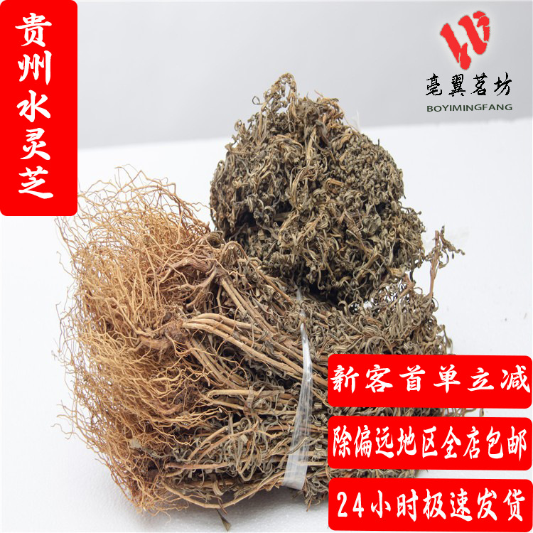一斤装新货道地贵州遵义产水灵芝别名四黄草青鱼胆草水黄连-阿里巴巴