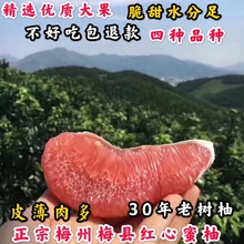 顺丰50斤梅州三红柚红肉蜜柚白心白肉柚子现摘新鲜当季孕妇红心20