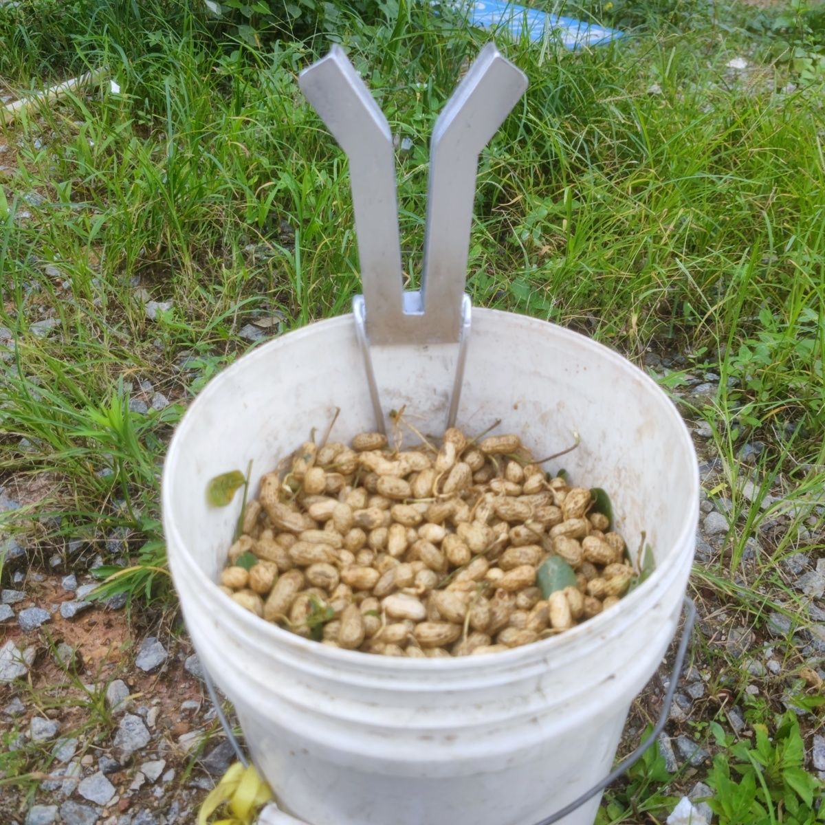 拔花生神器脱花生神器新款摘花生工具农用工具花生脱粒器花生夹子