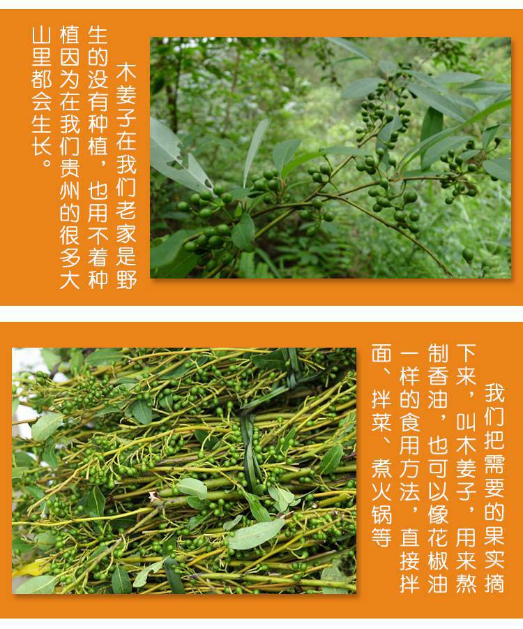 正宗贵州土特产 山苍子木姜子油 湖南野生新鲜山胡椒木姜籽调味油