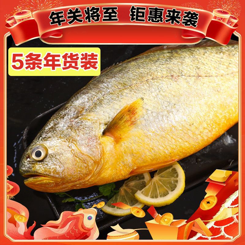 大黄花鱼整箱东海新鲜大黄鱼鲜活冷冻海鲜水产海鱼类生鲜海鲜批发