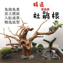 鱼缸水草缸造景妖精森林景观素材莫斯树形纯天然沉木杜鹃根树枝