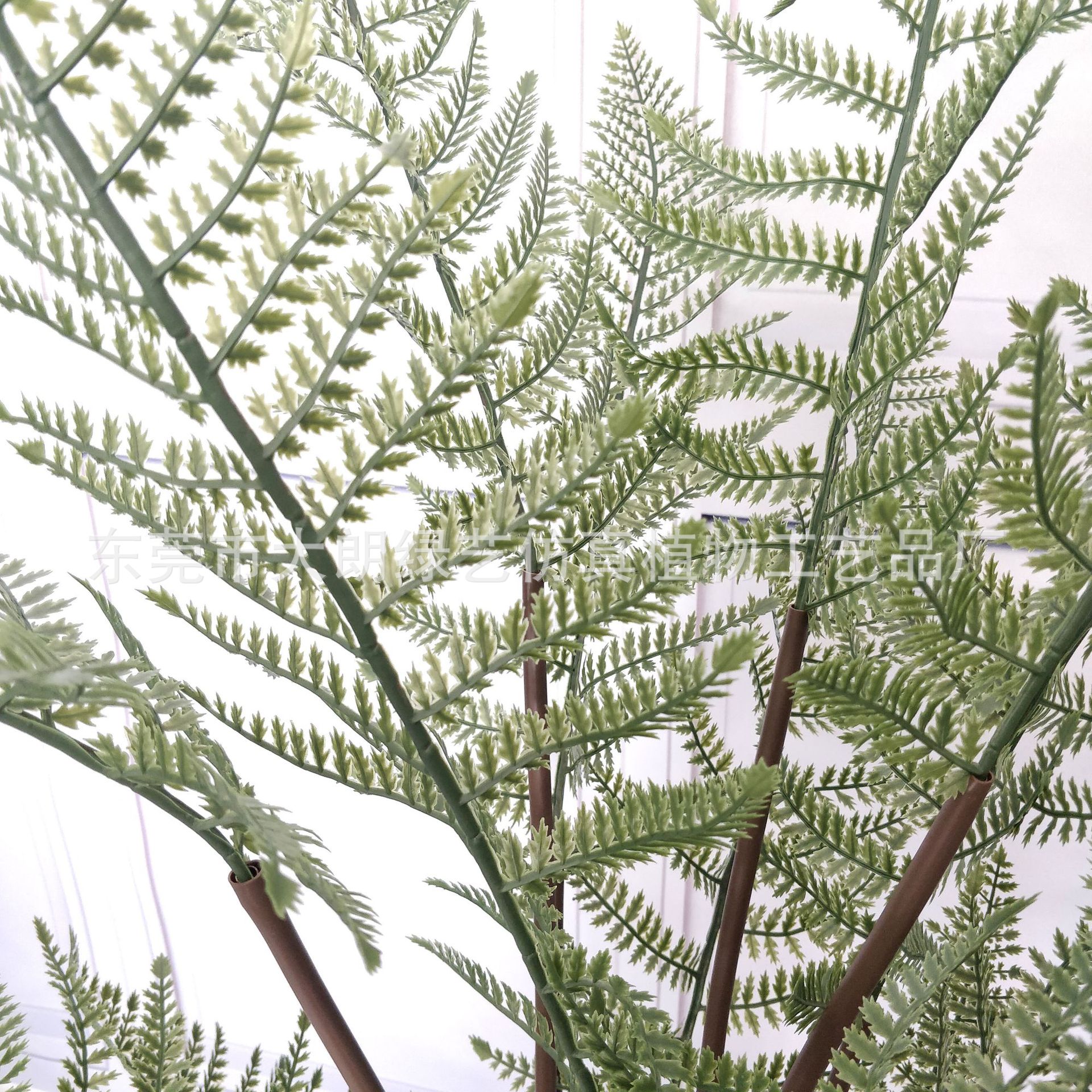 热销款仿真马尾蕨树 波斯蕨 仿真蕨树室内简约装饰绿植摆件