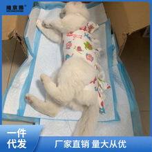 猫咪绝育服母猫术后护理断奶母猫衣服宠物衣服厂家直销跨境速卖通