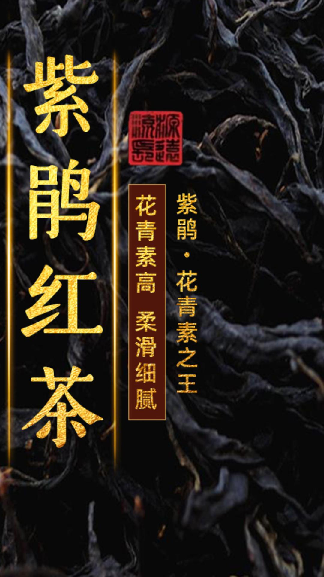 野放紫鹃红茶花果高香型红茶2024新茶滇红茶 批发散装紫娟500g
