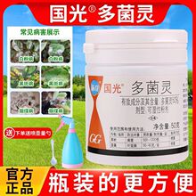 国光多菌灵花卉植物通用杀菌剂月季黑斑病多肉烟煤黑腐病花药