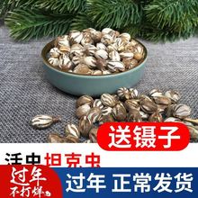 松鼠吃的坦克虫蜜袋鼯魔王刺猬仓鼠高蛋白虫子虫卵幼虫食物主粮