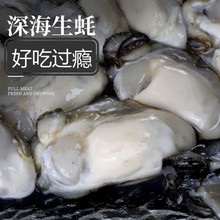 【高品质】新鲜生蚝肉鲜活现剥去壳海鲜即食原浆海蛎子牡蛎肉包邮