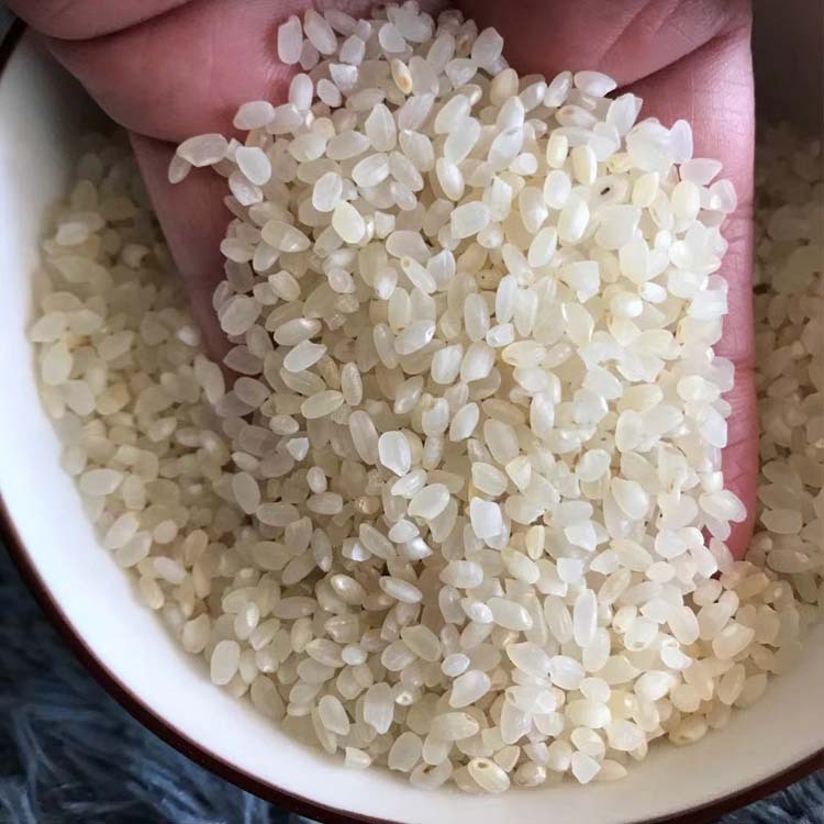广东碎米酿酒珍珠米一手 圆粒鸡米珍珠饲料米白净酒米色选米25kg