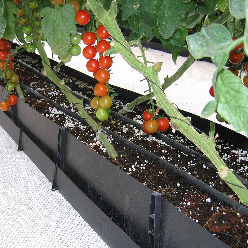 以色列农业草莓种植槽温室大棚蔬菜无土栽培设备基质育苗槽栽培槽