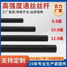 8.8级高强度丝杆镀锌丝杆通丝螺杆全螺纹牙条牙棒高强度螺柱螺杆