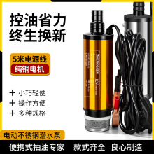 电动抽油泵12V24伏220V柴油汽油通用油抽子抽水泵小型抽油