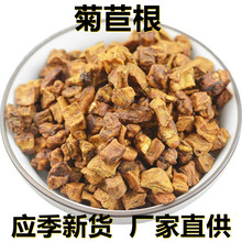 应季新货 新鲜菊苣根 花草茶500克/1斤散装 厂家直供 食用休闲茶