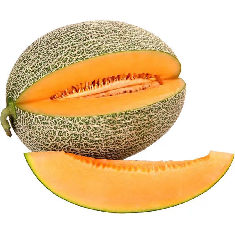 新疆西洲哈密瓜当季新鲜水果晓密25号网文脆纹甜瓜6/8斤一件代发