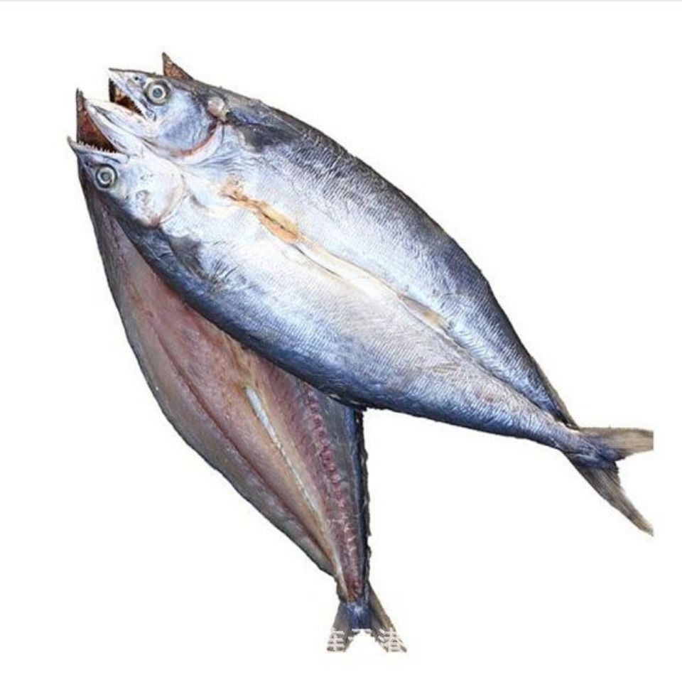 厂家批发海鲜干货 鲅鱼干 马鲛鱼干 微咸鲅鱼干500克燕尾鲅鱼